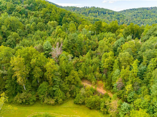 1.6 ACRE OLD POND TRL, FANCY GAP, VA 24328, photo 4 of 69