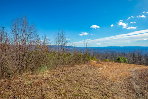 87 ACRE REFLECTIONS POINT TRL, FANCY GAP, VA 24328, photo 3 of 73