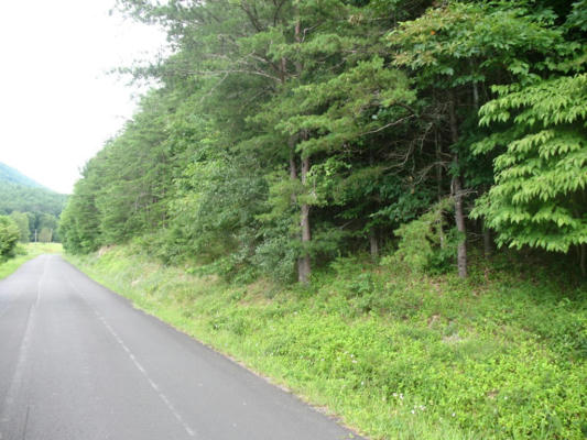 TBD BRUSH CREEK ROAD, IVANHOE, VA 24330, photo 3 of 8