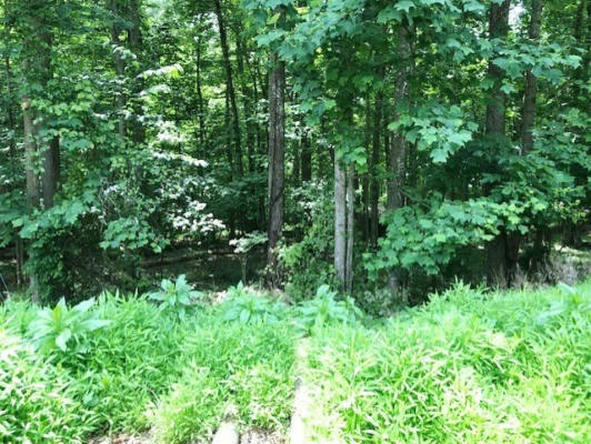 TBD CHINQUAPIN TRAIL, HILLSVILLE, VA 24343, photo 2 of 2