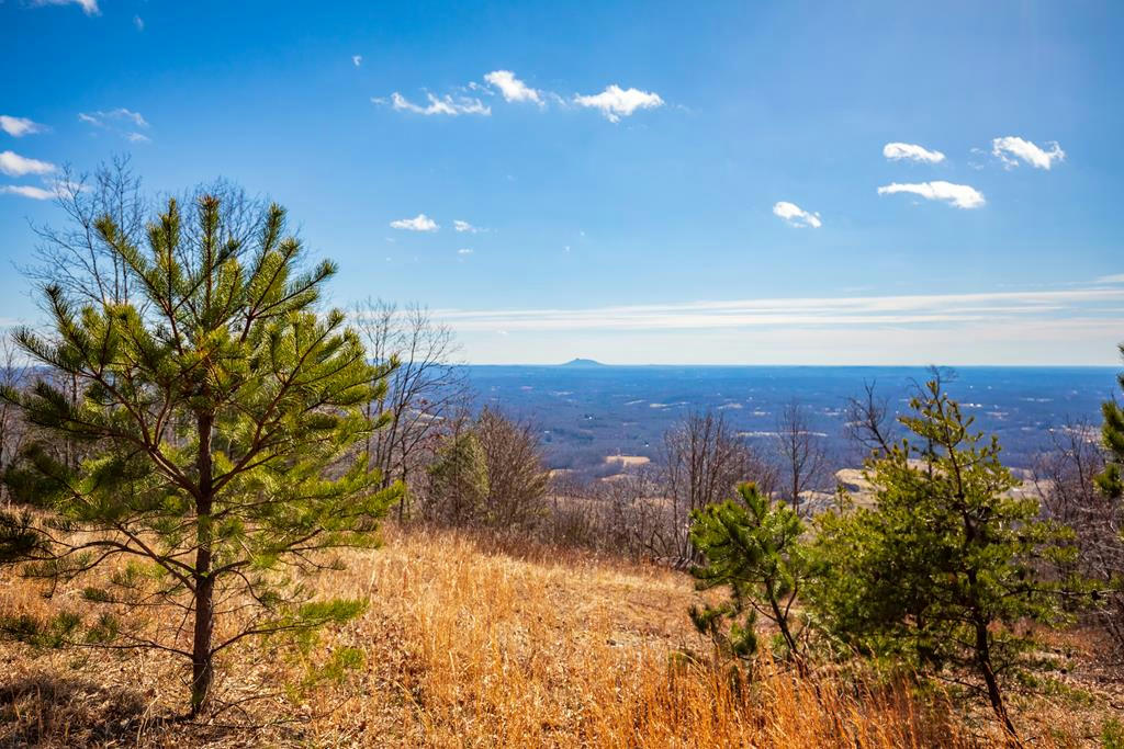 87 ACRE REFLECTIONS POINT TRL, FANCY GAP, VA 24328, photo 1 of 73