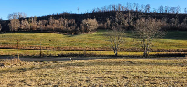 TBD LOT 16, OLD SALTWORKS ROAD, MEADOWVIEW, VA 24361, photo 2 of 2