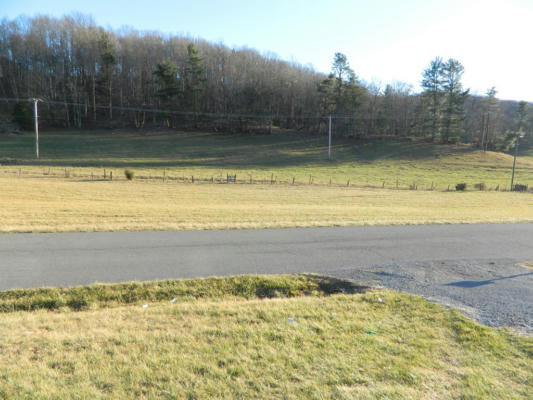 TBD DRY FORK ROAD, CHILHOWIE, VA 24319, photo 3 of 10
