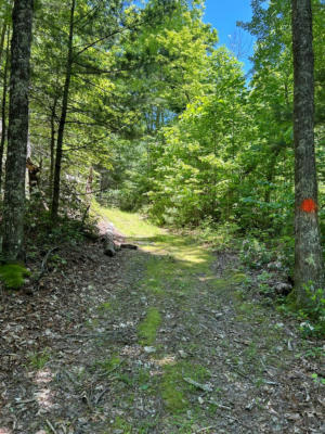 TBD WIDENER VALLEY RD., GLADE SPRING, VA 24340 - Image 1