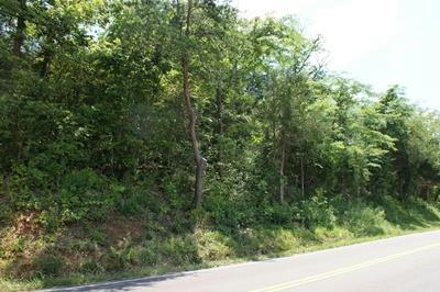 TBD LEAD MINE RD, AUSTINVILLE, VA 24312, photo 1