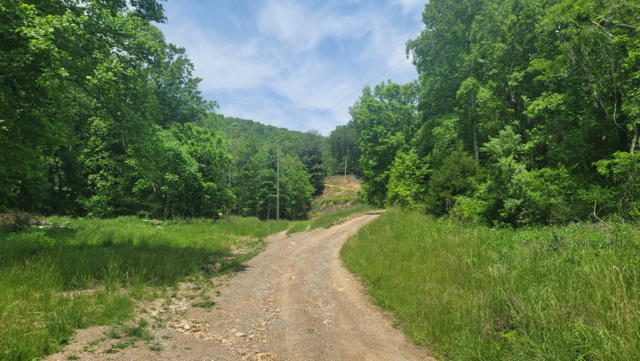 TBD MIDDLE FORK ROAD, CHILHOWIE, VA 24319, photo 2 of 24