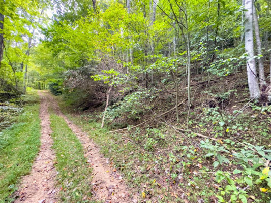 8 LOTS COVERED BRIDGE TRL, FANCY GAP, VA 24328, photo 2 of 57