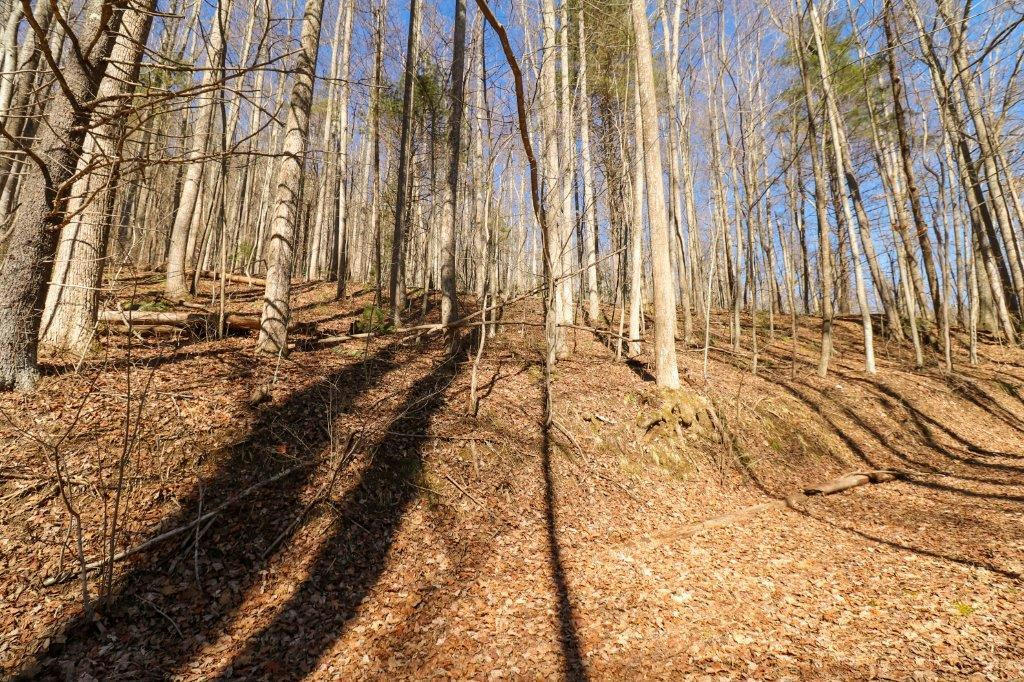 T6 & T 7 NORTH LEDGE TRAIL, FANCY GAP, VA 24328, photo 1 of 15