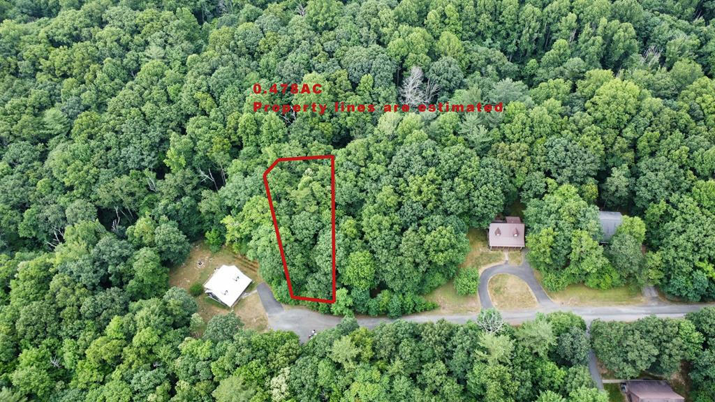 TBD CABIN VILLAGE - 1025, HILLSVILLE, VA 24343, photo 1 of 9