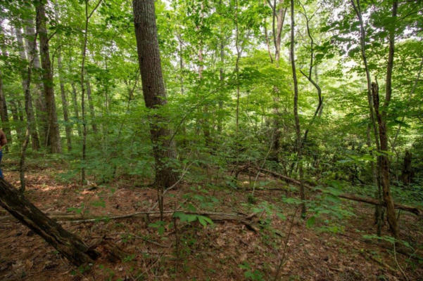 LOT 28 MANOR HOUSE DR, LAUREL FORK, VA 24352 - Image 1