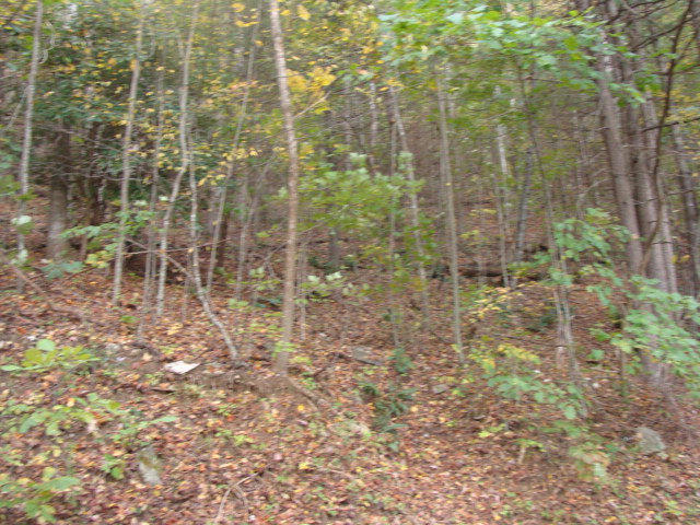 TBD CASCADE TRAIL, FANCY GAP, VA 24328, photo 1