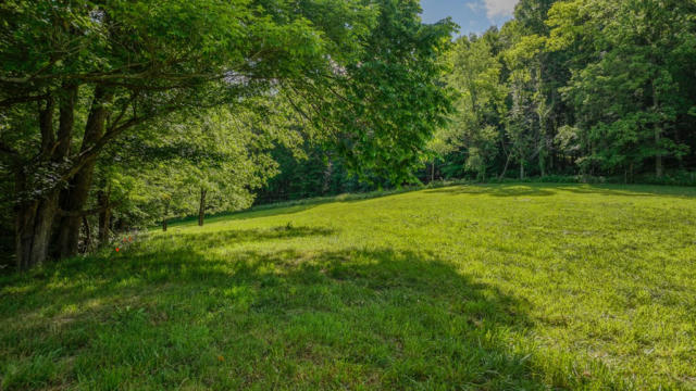 000 RUST HOLLOW ROAD, ABINGDON, VA 24210, photo 4 of 10