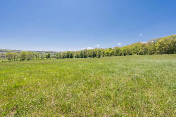 TBD FORT CHISWELL RD, MAX MEADOWS, VA 24360 - Image 1