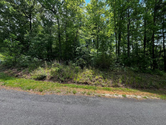 000 VIRGILINA CIRCLE, CANA, VA 24317 - Image 1