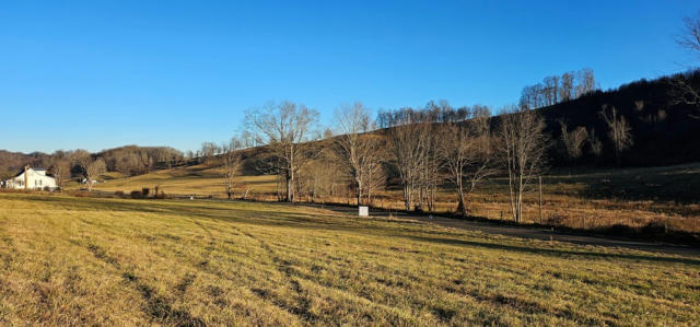 TBD LOT 17, OLD SALTWORKS ROAD, MEADOWVIEW, VA 24361, photo 2 of 2