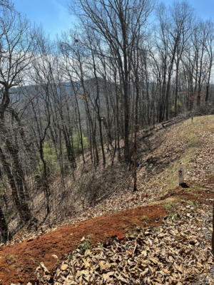 TBD MOUNTAIN PINE TRAIL, AUSTINVILLE, VA 24312, photo 3 of 22