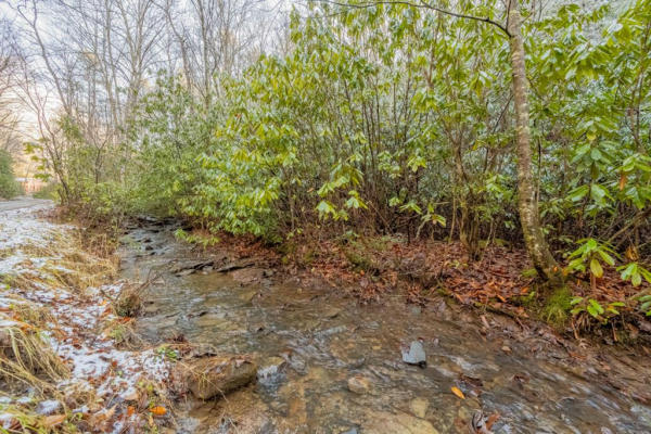 LOT 11 WYRICK TRL., BLAND, VA 24315 - Image 1