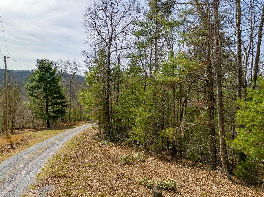 LOT 3 SUNSET LANE, BLAND, VA 24315, photo 1 of 28