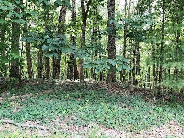 TBD CHINQUAPIN TRAIL, HILLSVILLE, VA 24343, photo 1 of 3