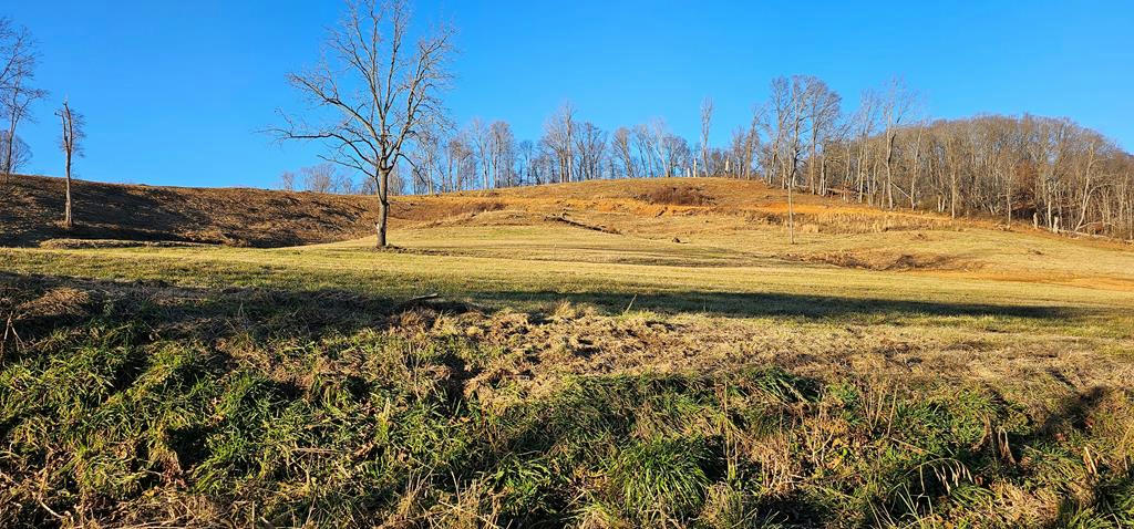 TBD LOT 17, OLD SALTWORKS ROAD, MEADOWVIEW, VA 24361, photo 1 of 2