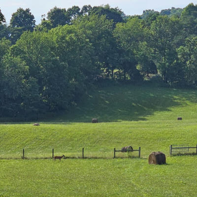 0000 TBD WIDENER VALLEY ROAD, GLADE SPRING, VA 24340, photo 4 of 16