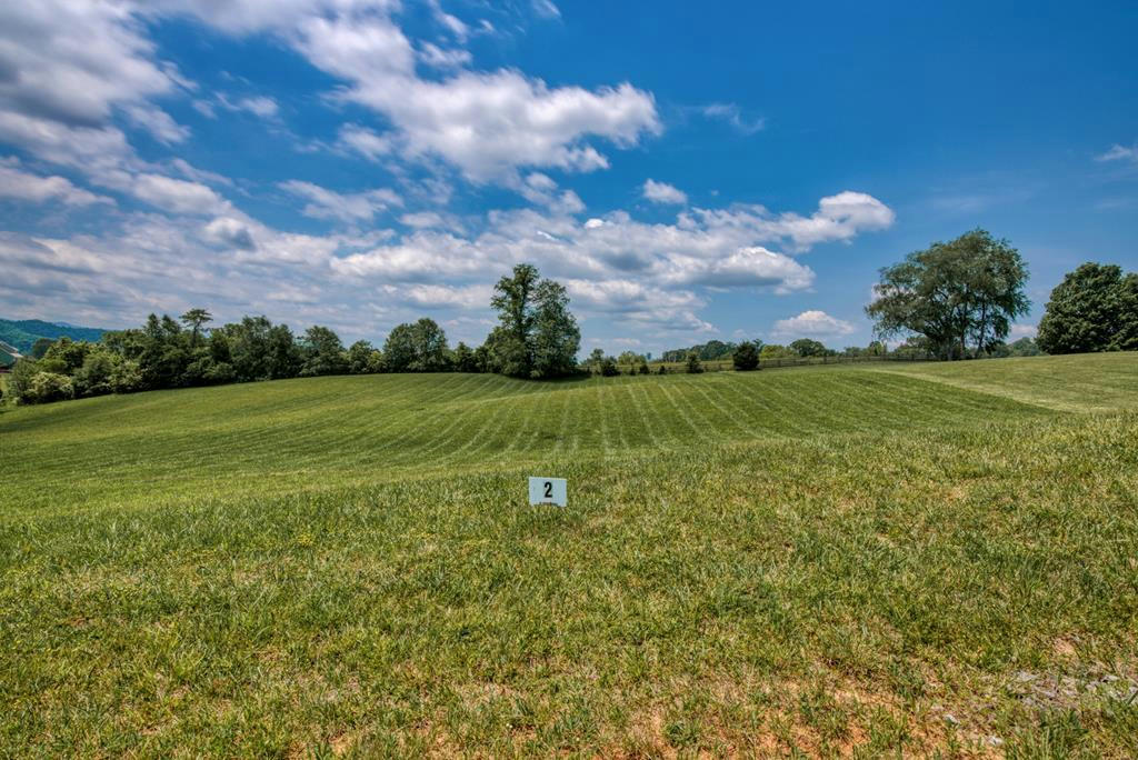 LOT #17 SKYWARD DRIVE, ABINGDON, VA 24211, photo 1