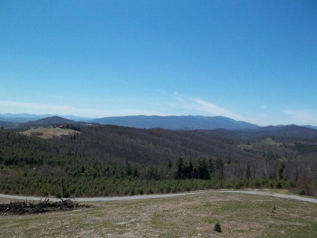 OFF LOST LAKE ROAD, TROUTDALE, VA 24378, photo 1 of 10