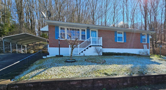 166 CITY VIEW DR, TAZEWELL, VA 24651 - Image 1