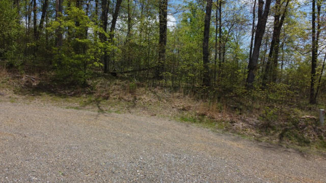 TBD FALCON RIDGE RD, ARARAT, VA 24053, photo 2 of 15