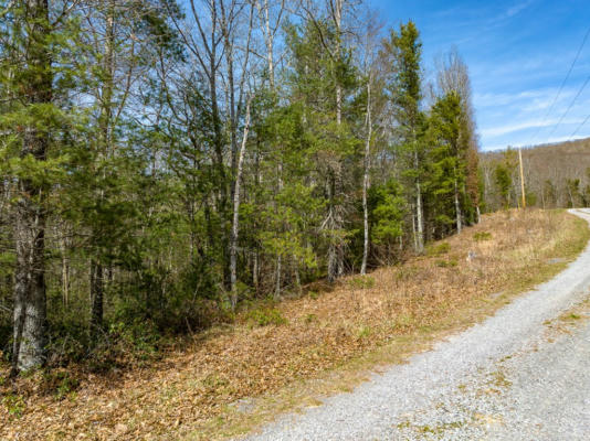 LOT 3 SUNSET LANE, BLAND, VA 24315, photo 3 of 28