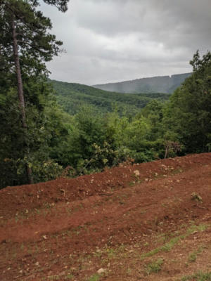 TBD MOUNTAIN PINE TRAIL, AUSTINVILLE, VA 24312, photo 2 of 22