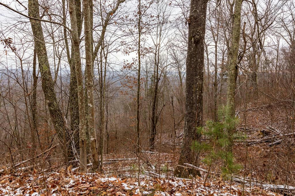 23.53 AC NORTH FORK RIVER RD