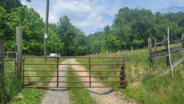TBD MIDDLE FORK ROAD, CHILHOWIE, VA 24319 - Image 1