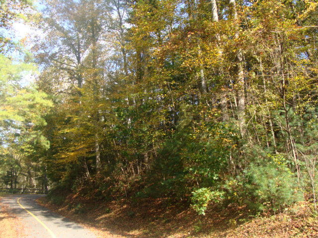 TBD OTTER CREEK TRAIL, FANCY GAP, VA 24328, photo 1