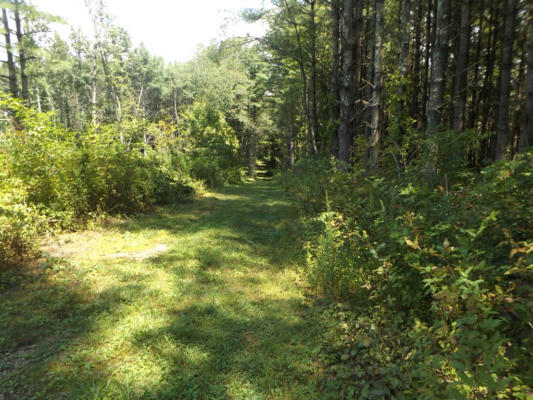 TBD LOVELL RD., HILLSVILLE, VA 24343 - Image 1