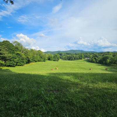 0000 TBD WIDENER VALLEY ROAD, GLADE SPRING, VA 24340 - Image 1