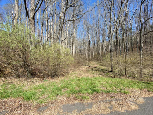 TBD CARTERVILLE HEIGHTS ROAD, MAX MEADOWS, VA 24360 - Image 1