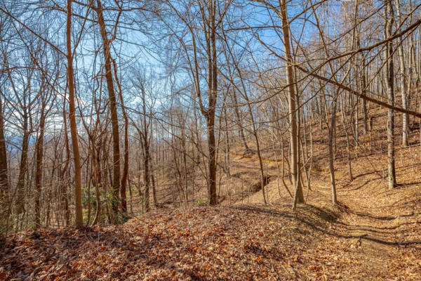 3.7 ACRE REFLECTIONS POINT TRL, FANCY GAP, VA 24328, photo 2 of 51