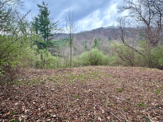 TBD SPRING VALLEY, ELK CREEK, VA 24326 - Image 1