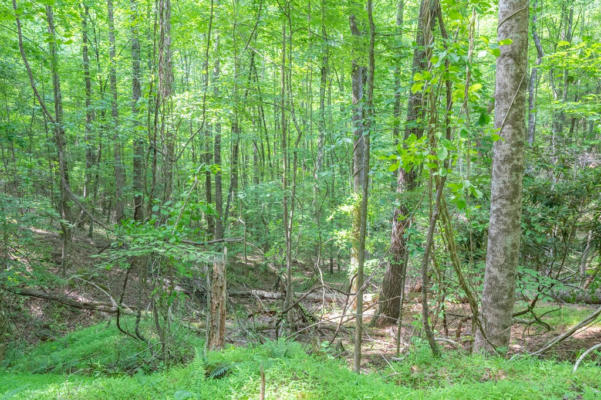 TBD BEDSAUL ROAD, GALAX, VA 24333, photo 2 of 34