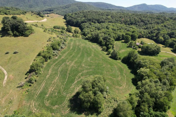 TBD II COMERS ROCK ROAD, ELK CREEK, VA 24326 - Image 1