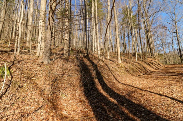 T6 & T 7 NORTH LEDGE TRAIL, FANCY GAP, VA 24328, photo 2 of 15